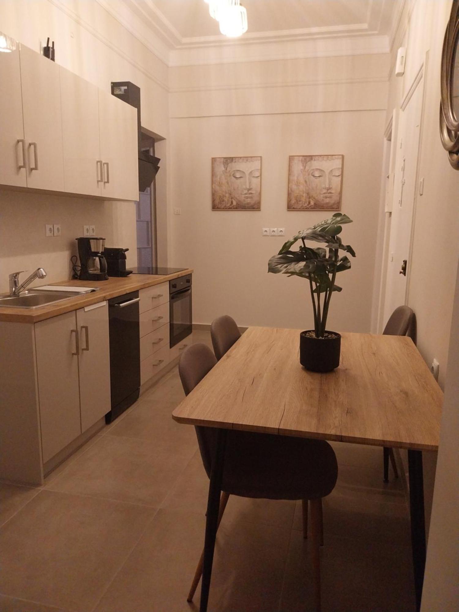 Athens Lovely Apartment מראה חיצוני תמונה